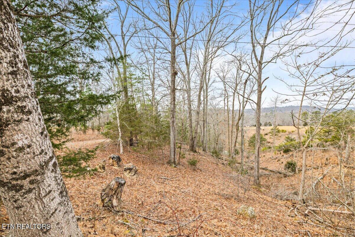 Deer Pond Circle Lafollette TN 37766