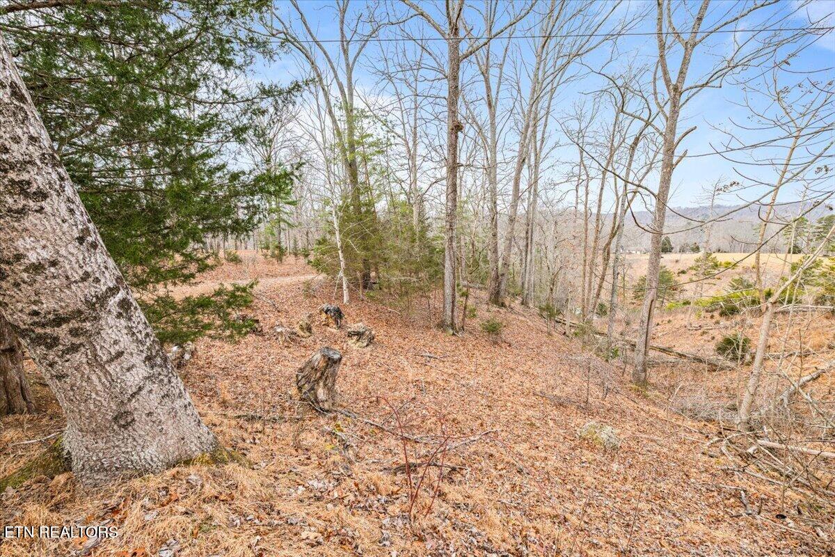 Deer Pond Circle Lafollette TN 37766