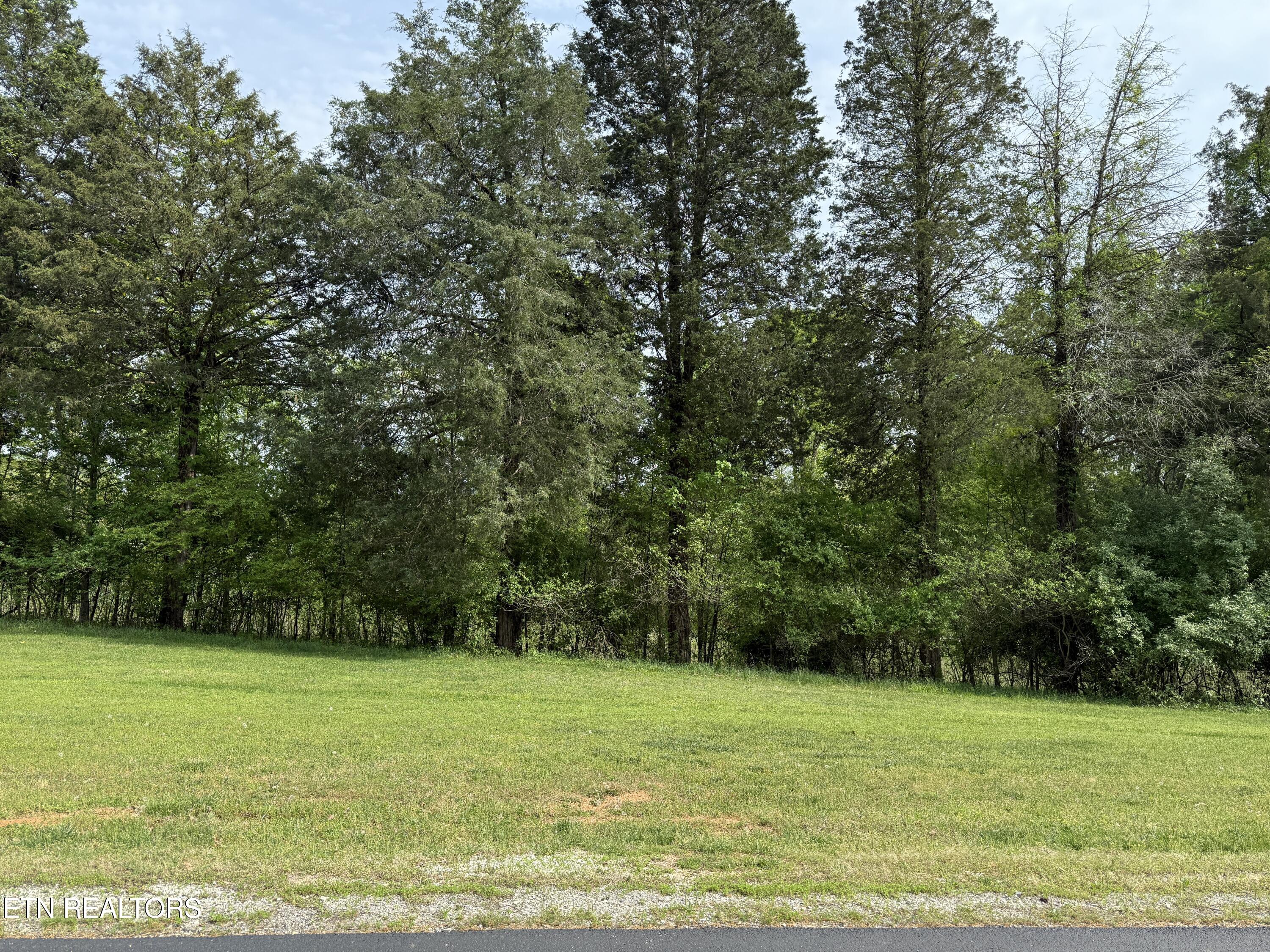 205 W Shore Drive Rockwood TN 37854