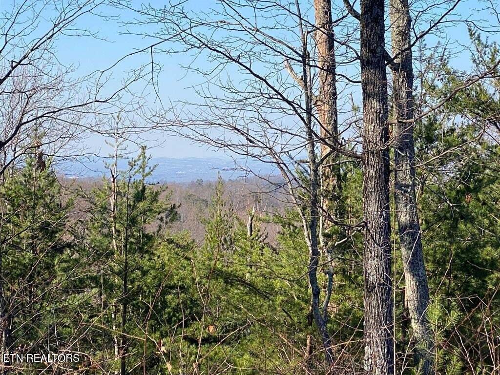 English Springs Way Newport TN 37821