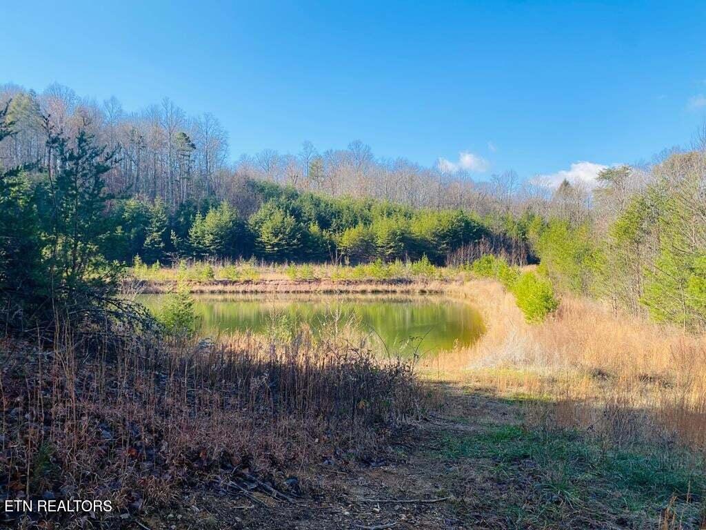 English Springs Way Newport TN 37821