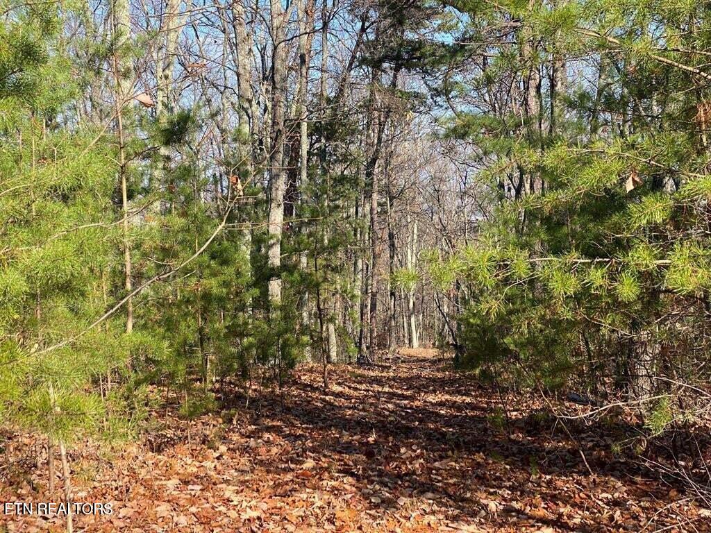 English Springs Way Newport TN 37821