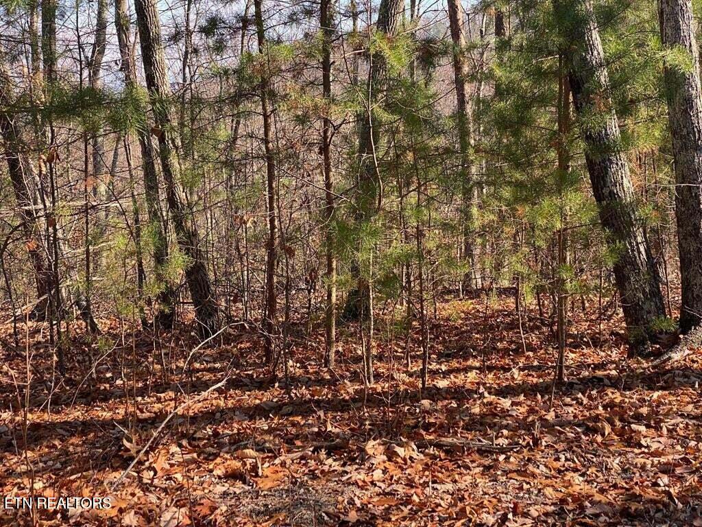 English Springs Way Newport TN 37821