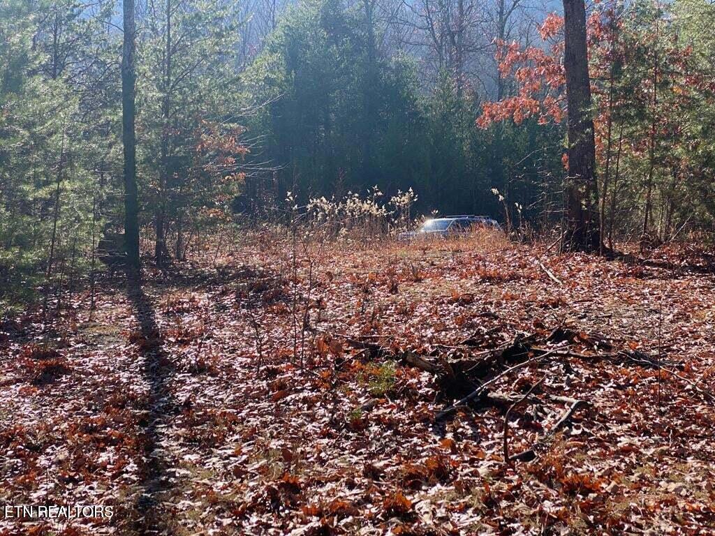 English Springs Way Newport TN 37821