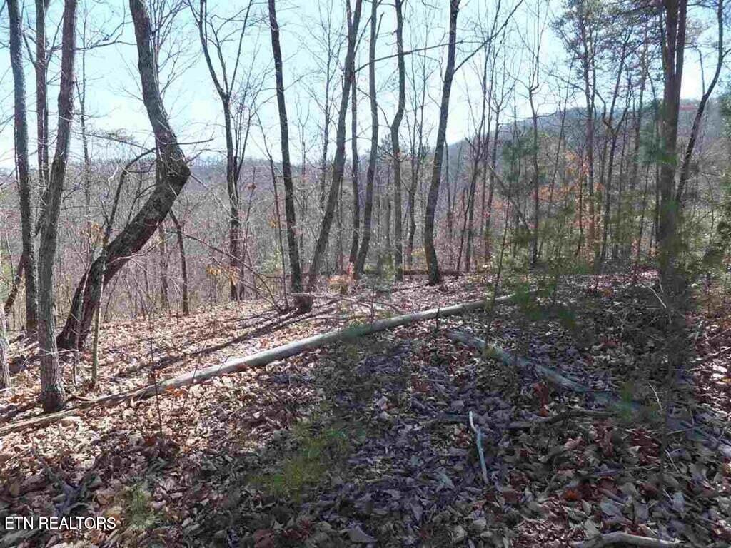 English Springs Way Newport TN 37821