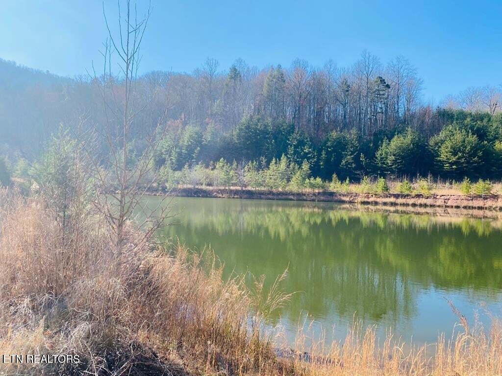 English Springs Way Newport TN 37821
