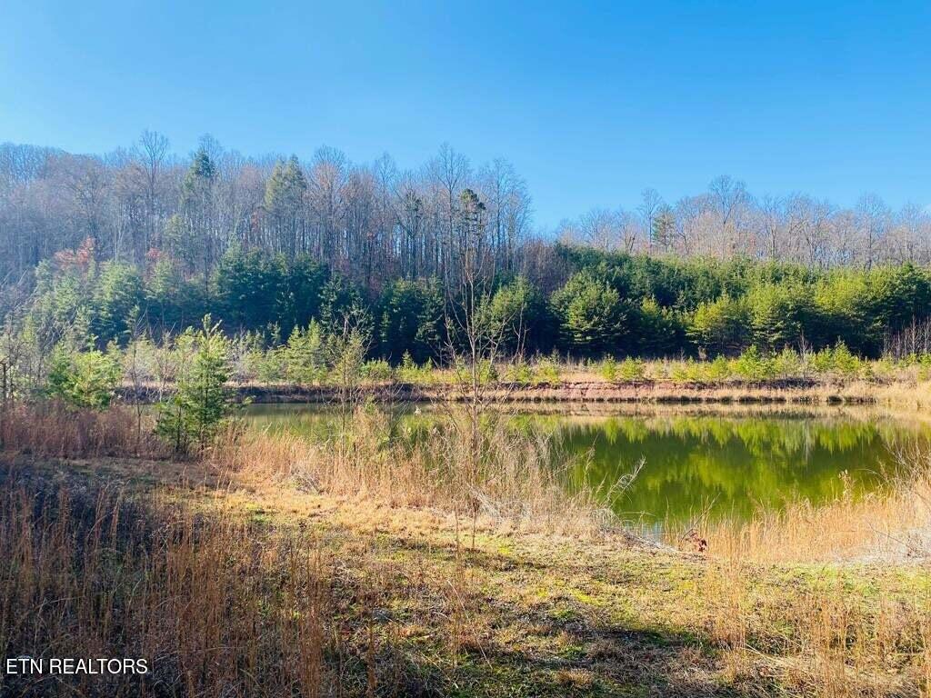 English Springs Way Newport TN 37821