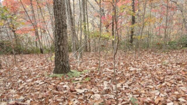 Lot 349 Drew Court Smithville TN 37166