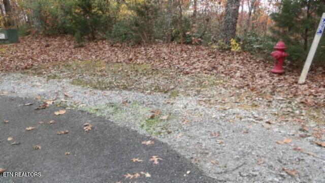 Lot 349 Drew Court Smithville TN 37166
