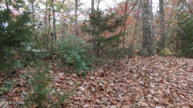Lot 349 Drew Court Smithville TN 37166