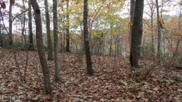 Lot 349 Drew Court Smithville TN 37166