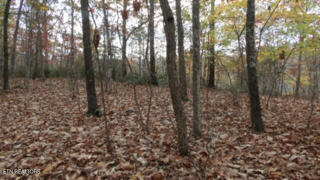 Lot 349 Drew Court Smithville TN 37166
