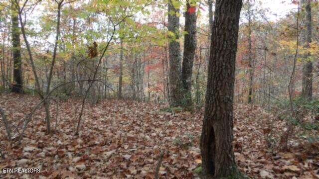 Lot 349 Drew Court Smithville TN 37166