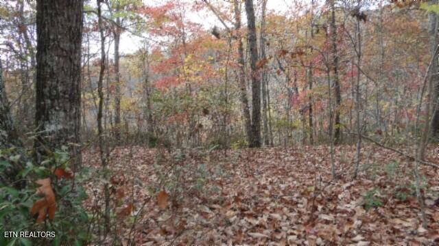 Lot 349 Drew Court Smithville TN 37166
