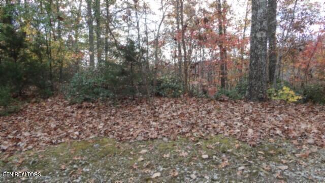Lot 349 Drew Court Smithville TN 37166