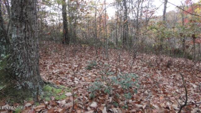 Lot 349 Drew Court Smithville TN 37166