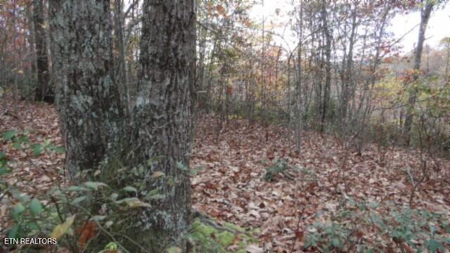 Lot 349 Drew Court Smithville TN 37166