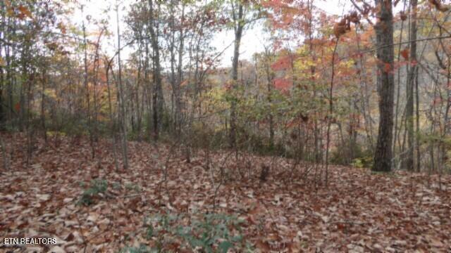 Lot 349 Drew Court Smithville TN 37166