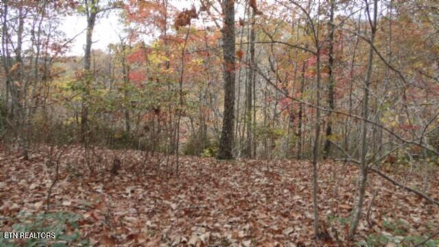 Lot 349 Drew Court Smithville TN 37166
