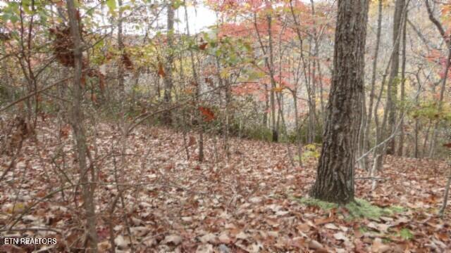Lot 349 Drew Court Smithville TN 37166