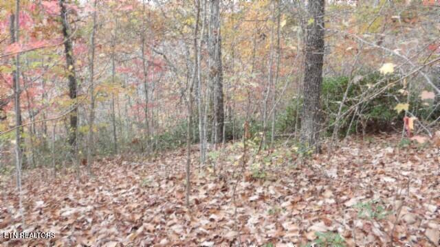 Lot 349 Drew Court Smithville TN 37166