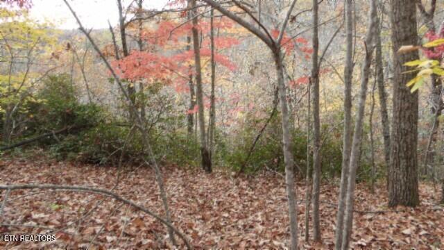 Lot 349 Drew Court Smithville TN 37166