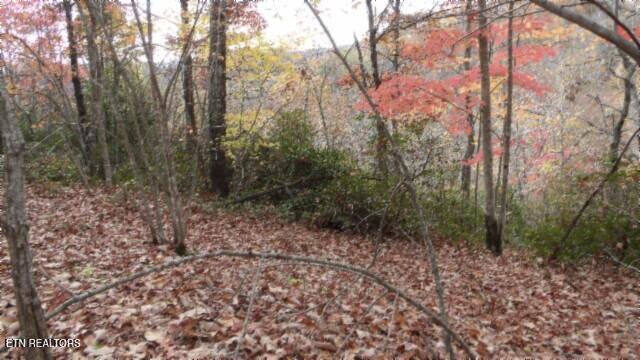 Lot 349 Drew Court Smithville TN 37166