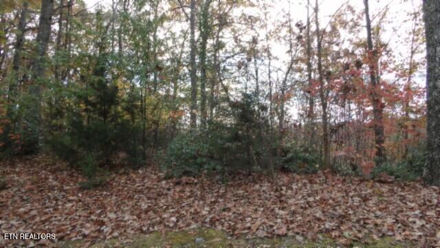 Lot 349 Drew Court Smithville TN 37166