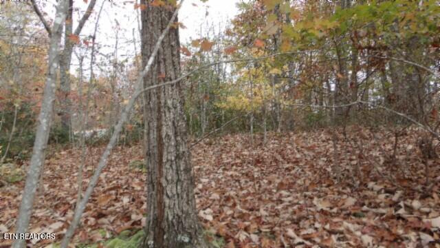 Lot 349 Drew Court Smithville TN 37166