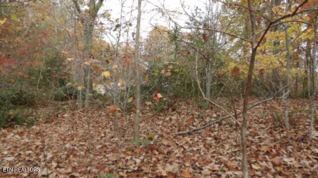 Lot 349 Drew Court Smithville TN 37166