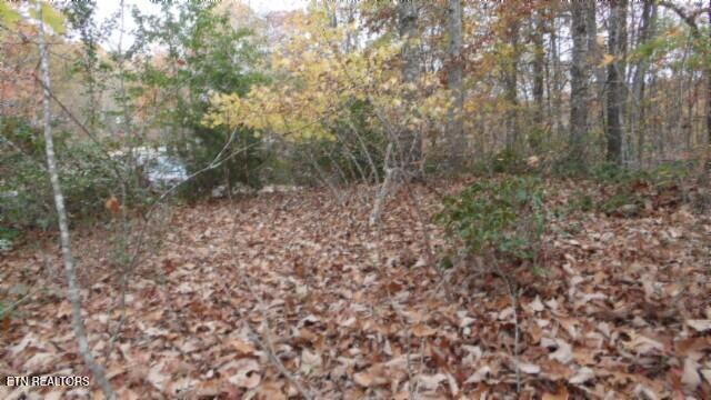 Lot 349 Drew Court Smithville TN 37166