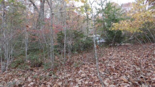 Lot 349 Drew Court Smithville TN 37166