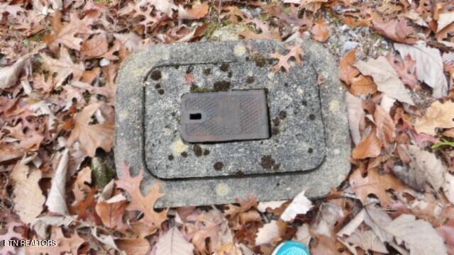 Lot 349 Drew Court Smithville TN 37166