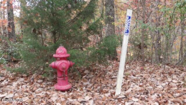 Lot 349 Drew Court Smithville TN 37166