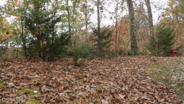 Lot 349 Drew Court Smithville TN 37166