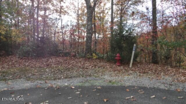 Lot 349 Drew Court Smithville TN 37166