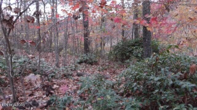 Lot 349 Drew Court Smithville TN 37166