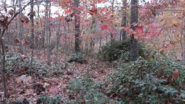Lot 349 Drew Court Smithville TN 37166