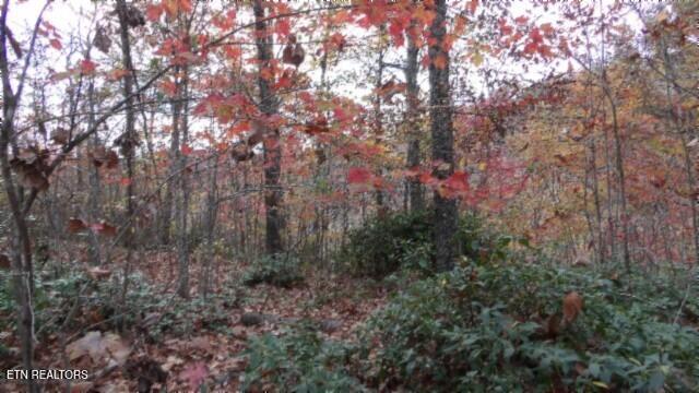 Lot 349 Drew Court Smithville TN 37166
