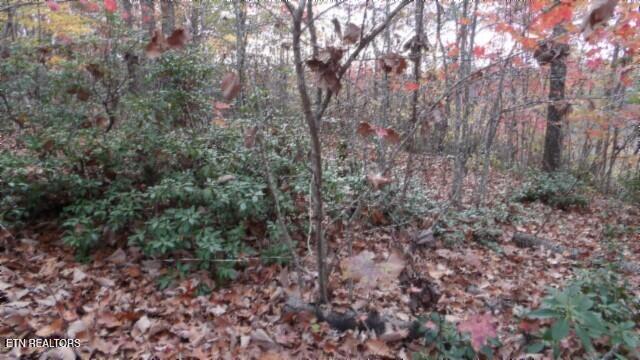 Lot 349 Drew Court Smithville TN 37166
