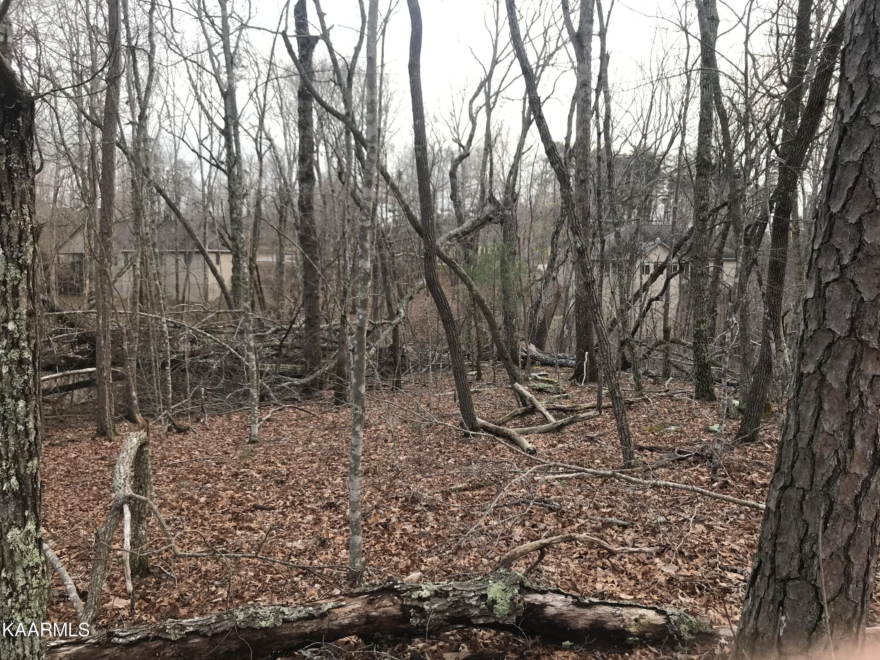 22 Harrell Lane Crossville TN 38558