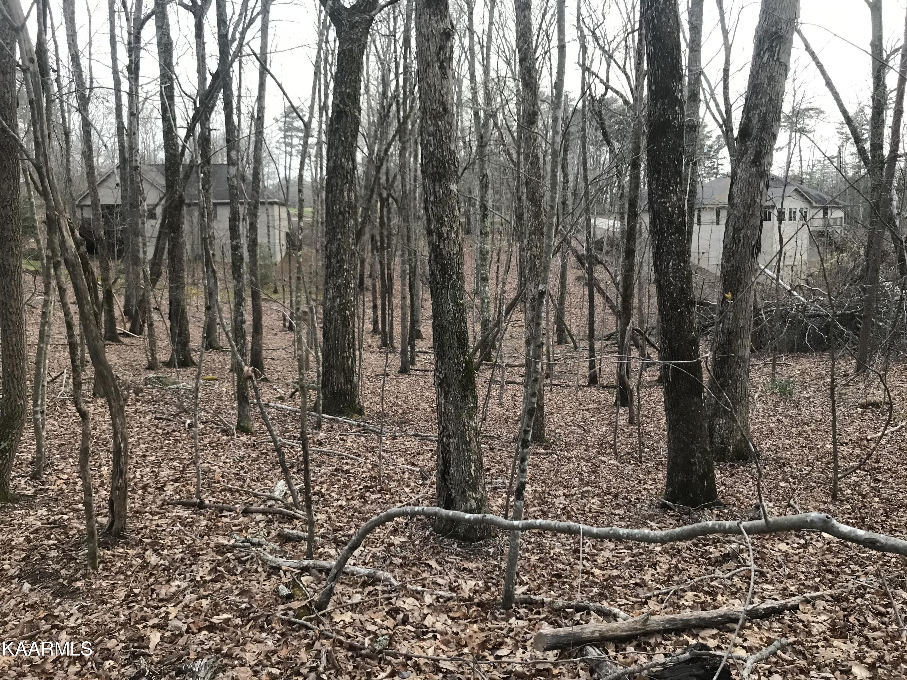 22 Harrell Lane Crossville TN 38558
