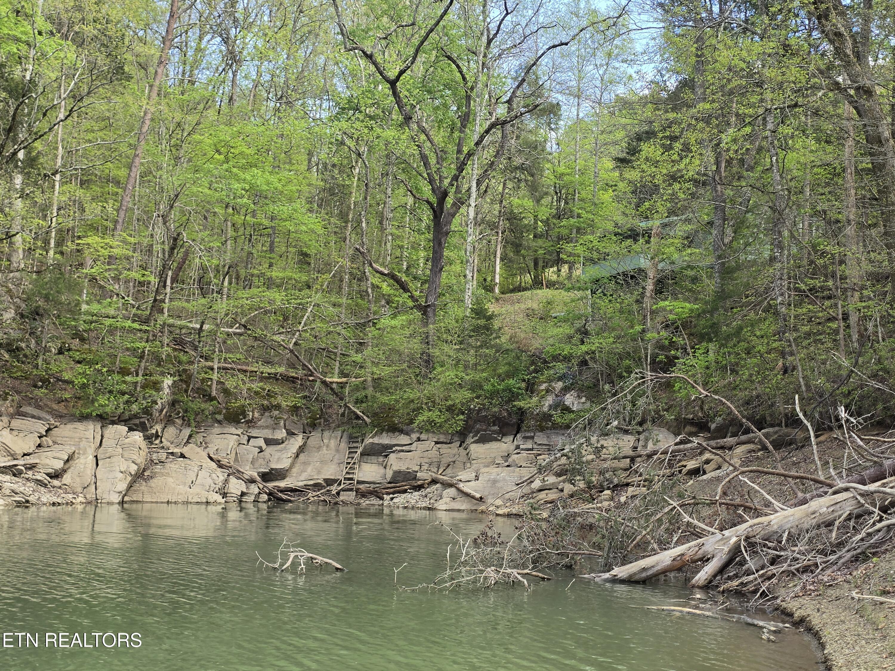 3711 Elm Springs Ridge Road Washburn TN 37888