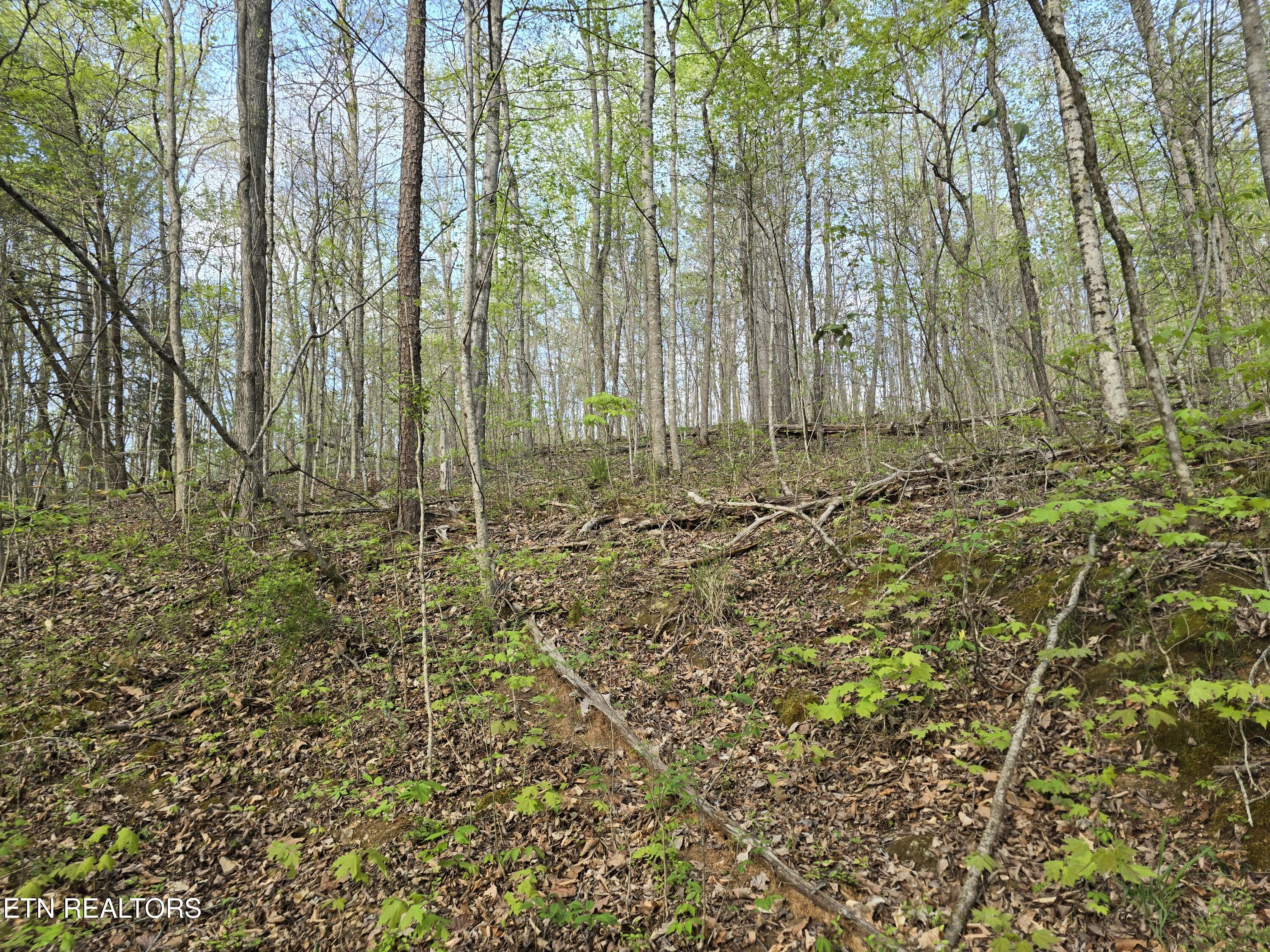 3711 Elm Springs Ridge Road Washburn TN 37888