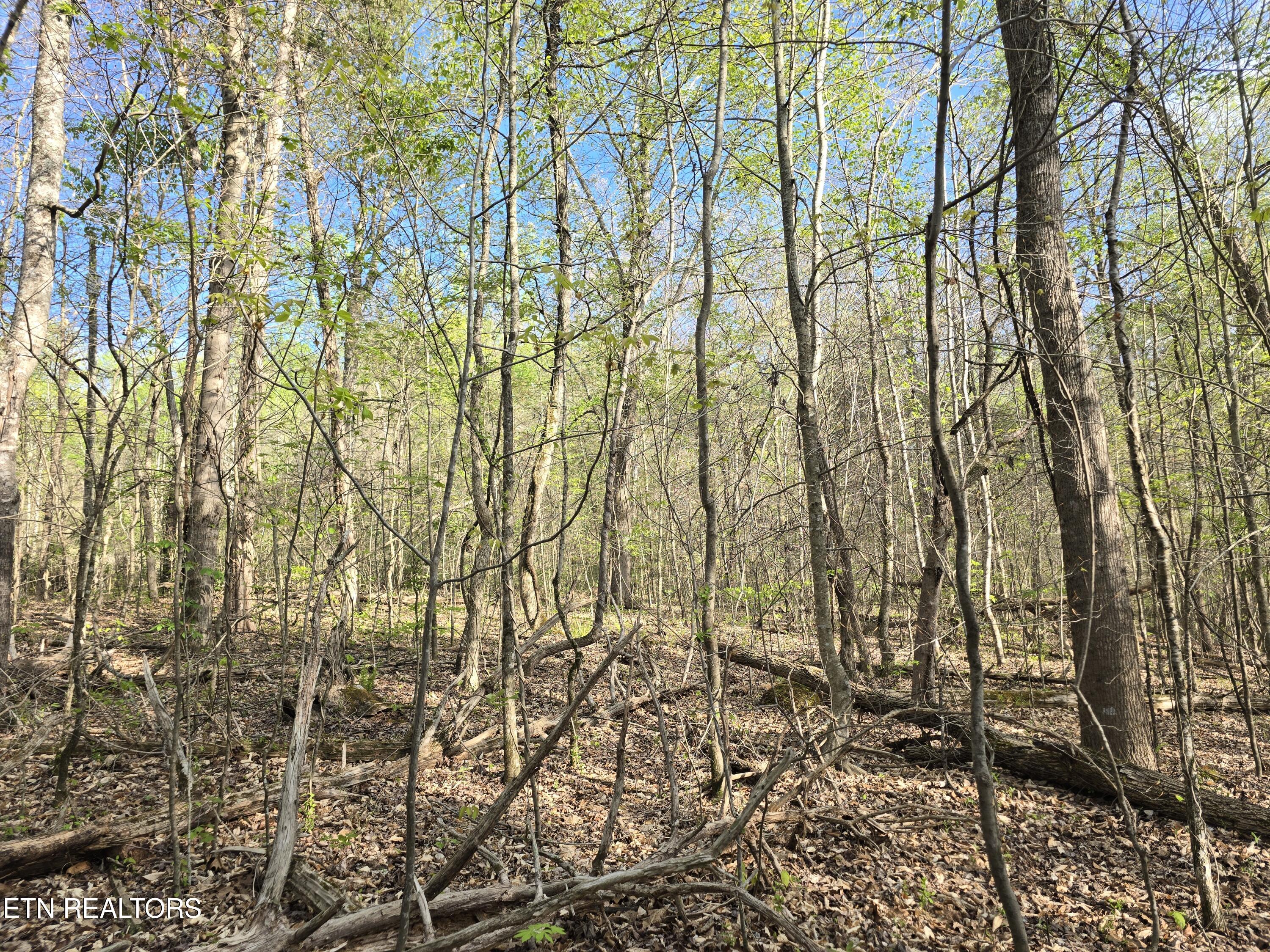 3711 Elm Springs Ridge Road Washburn TN 37888