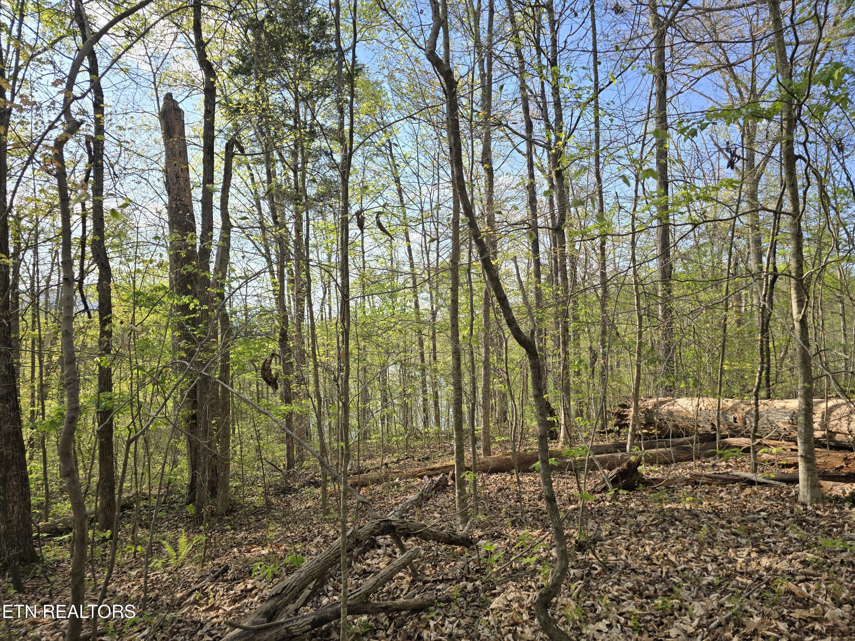 3711 Elm Springs Ridge Road Washburn TN 37888