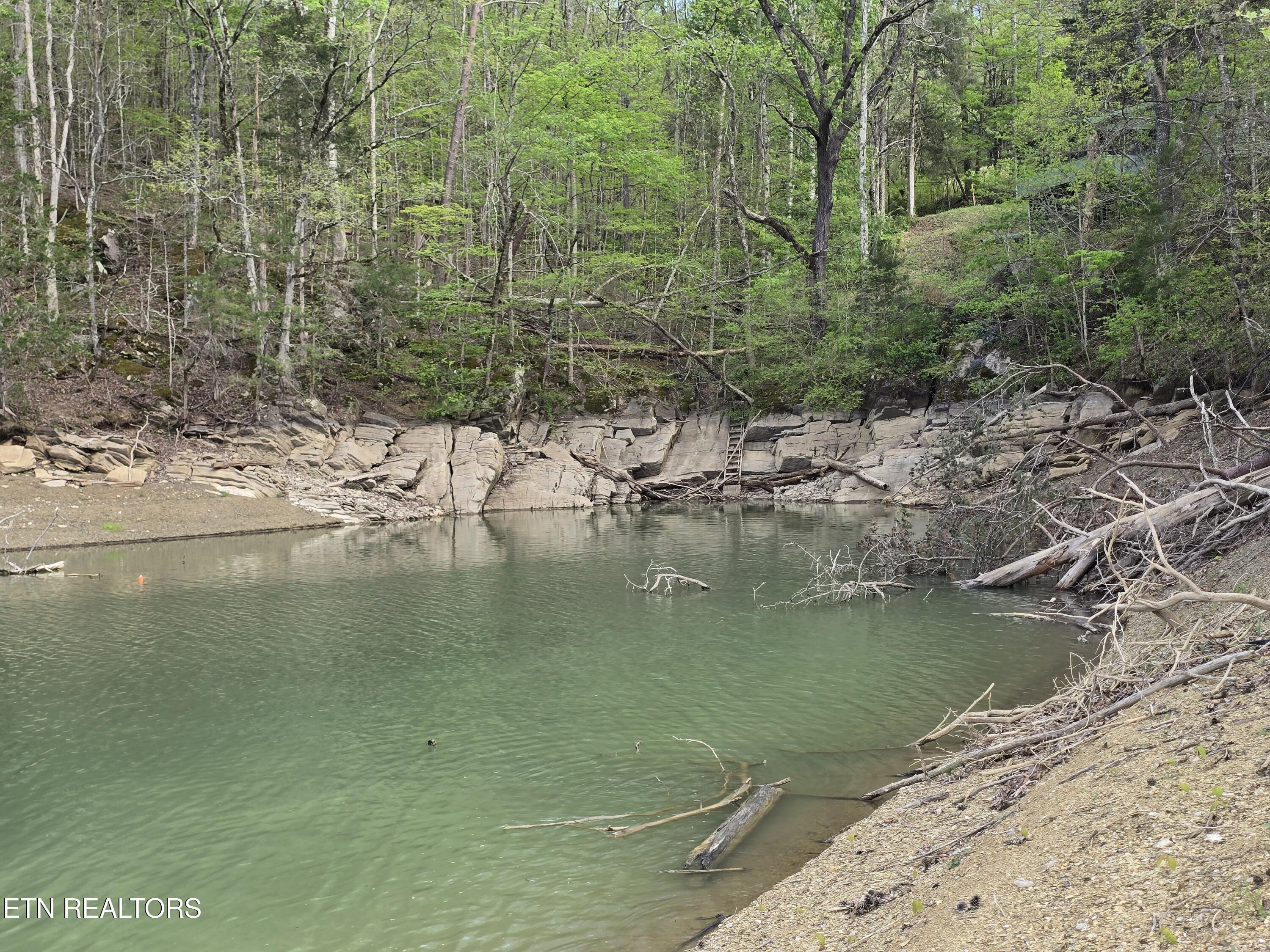 3711 Elm Springs Ridge Road Washburn TN 37888