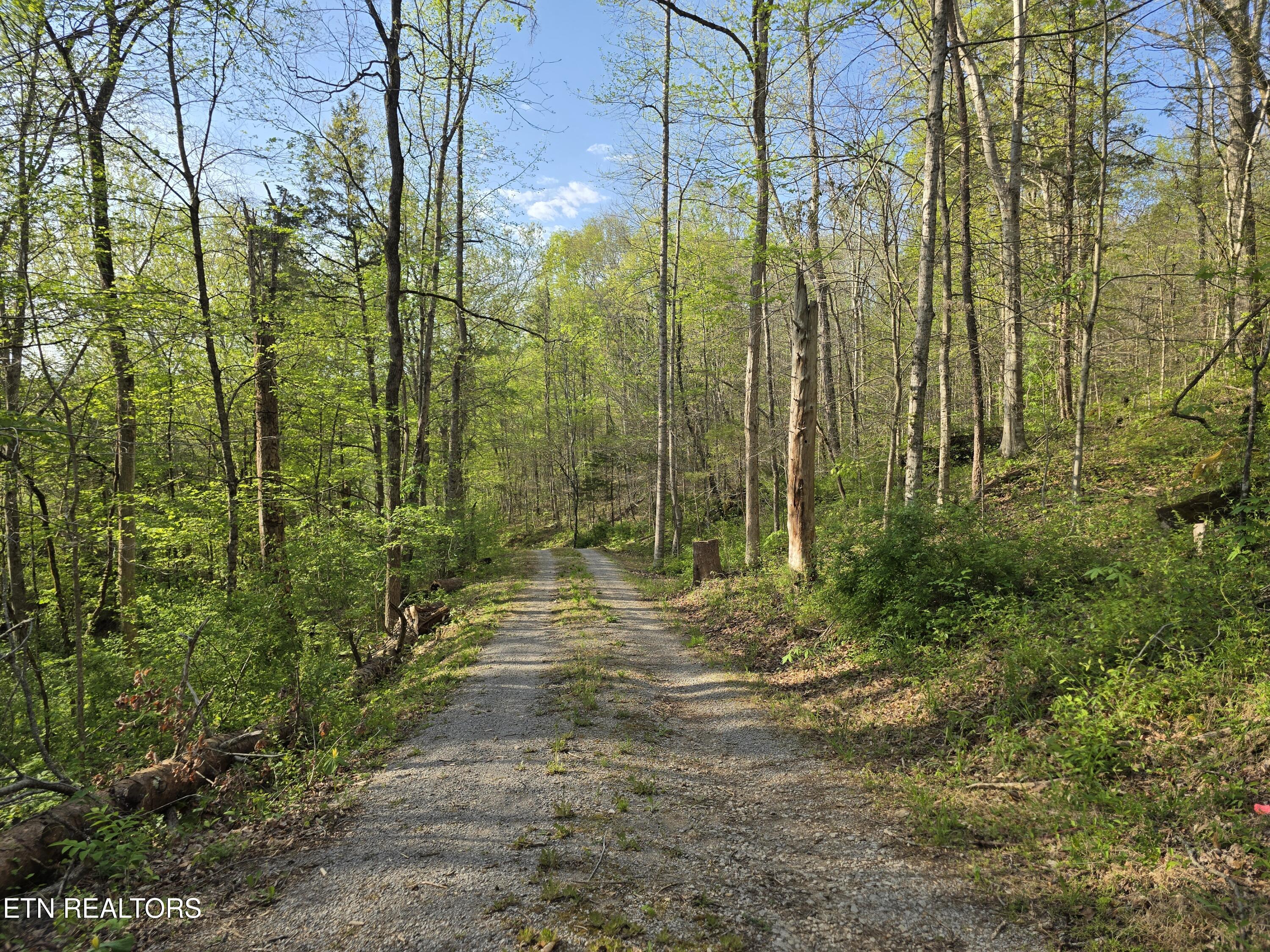 3711 Elm Springs Ridge Road Washburn TN 37888