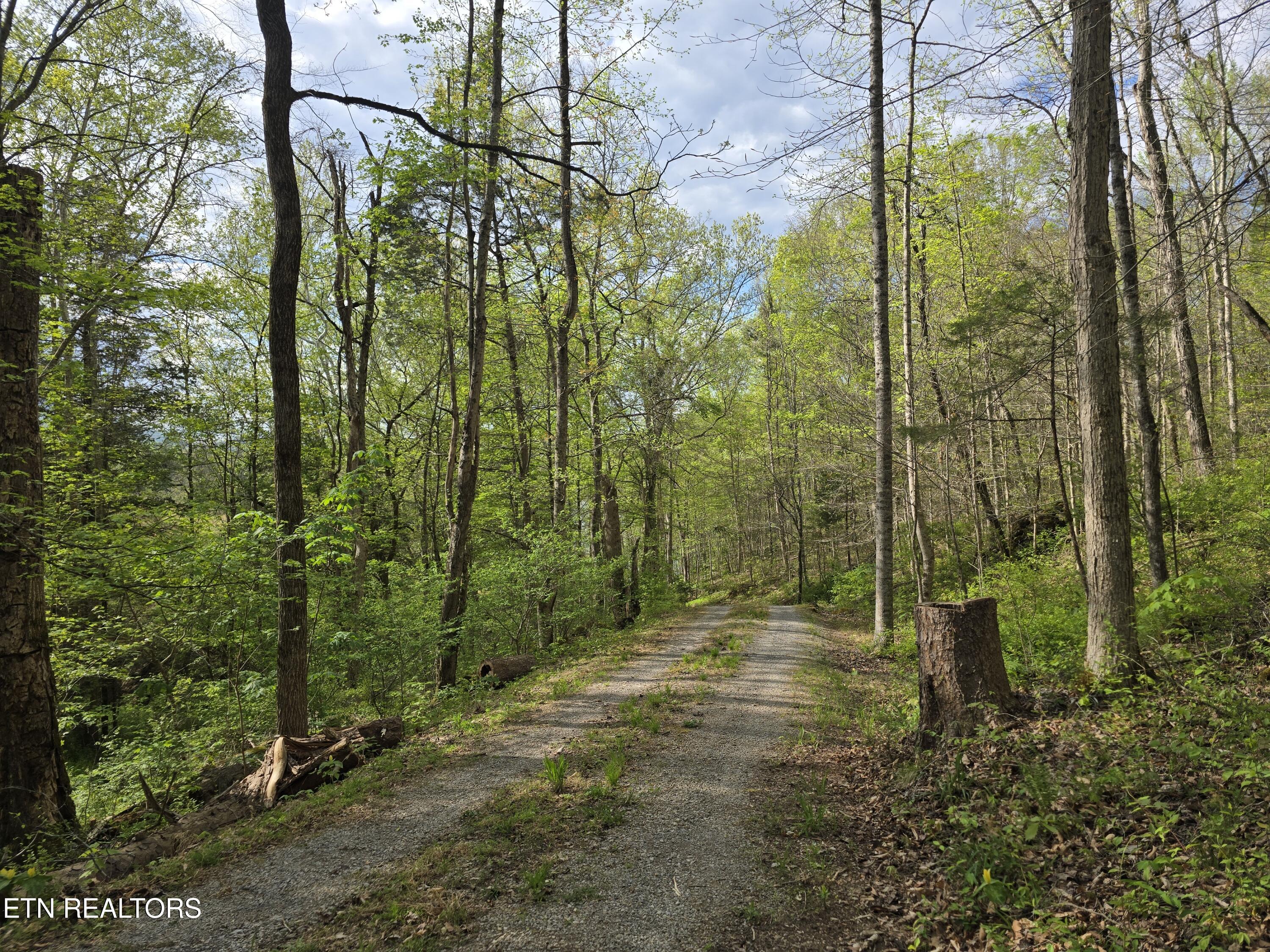 3711 Elm Springs Ridge Road Washburn TN 37888