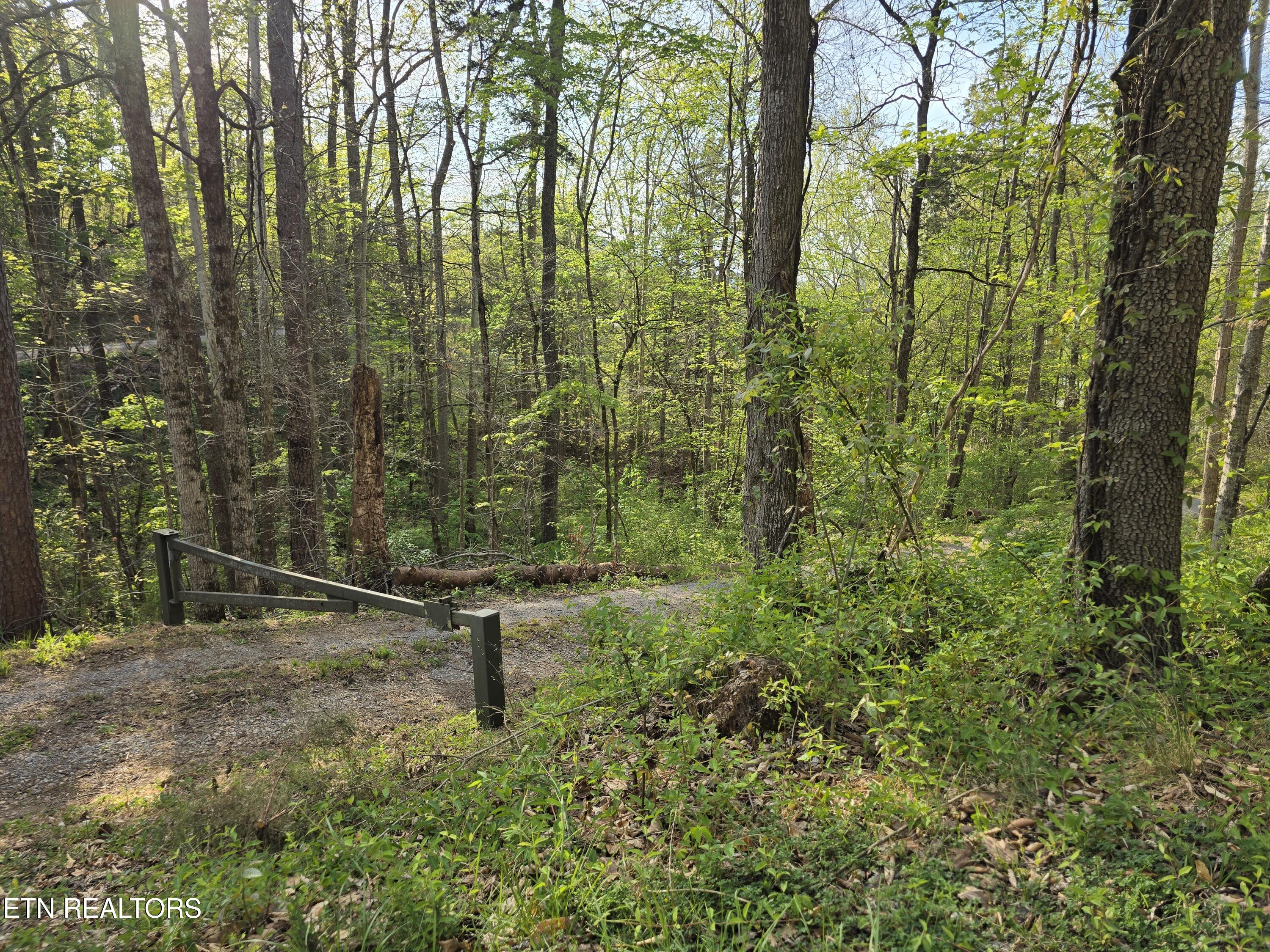3711 Elm Springs Ridge Road Washburn TN 37888